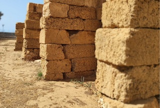 Mura Timoleontee